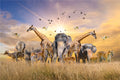 Puzzle Savane au Couchant — 500 Pièces