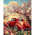 Peinture par Numéros Voiture Rouge Fleurie