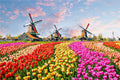 Puzzle Moulins de Hollande — 500 Pièces