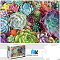 Puzzle Plantes Succulentes — 1000 Pièces
