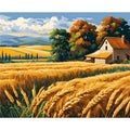 Peinture par Numéros Champ de Blé