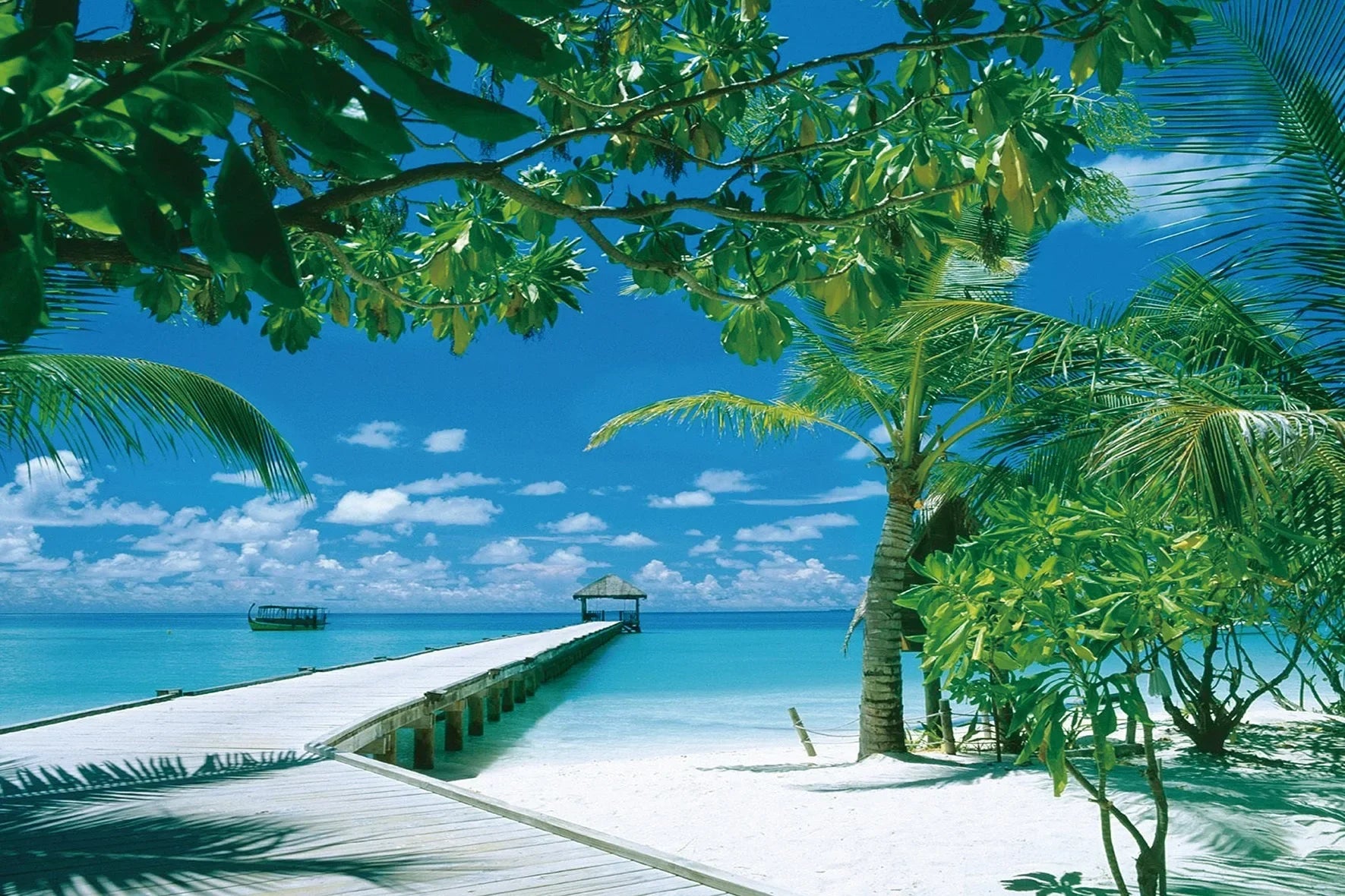 Puzzle Plage Tropicale — 1000 Pièces