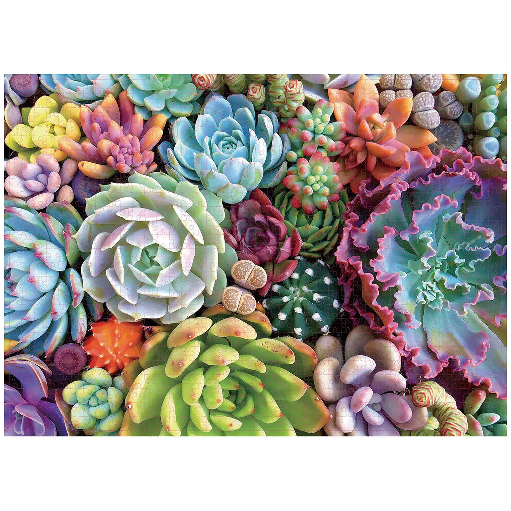 Puzzle Plantes Succulentes — 1000 Pièces