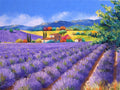 Puzzle Champs de Lavande — 500 Pièces