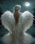 Peinture par Numéros Ailes d'Ange