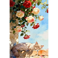 Peinture par Numéros Chat aux Roses