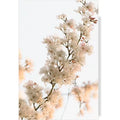 Peinture par Numéros Fleurs de Cerisier Sépia
