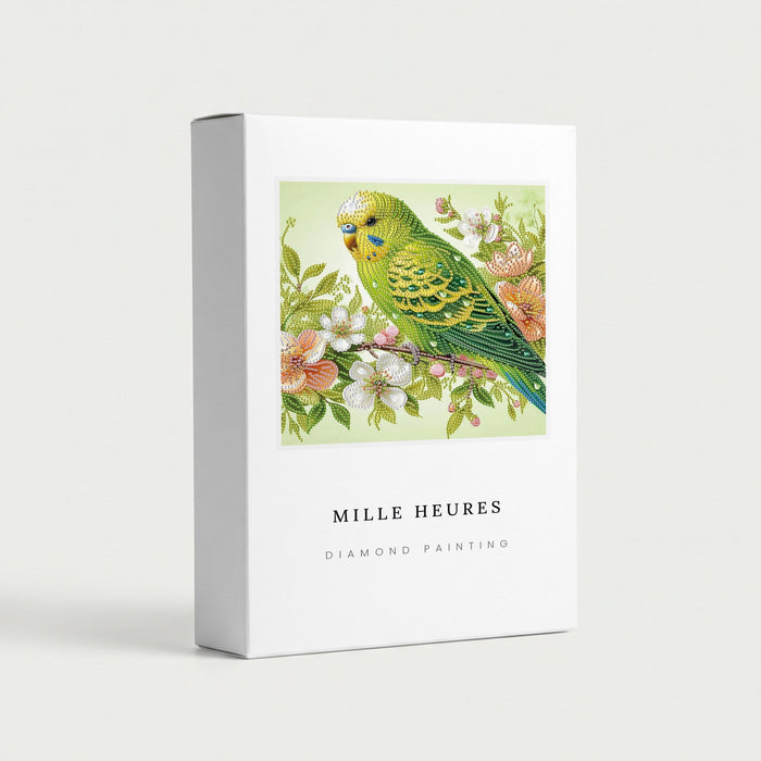 Coffret Mille Heures