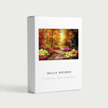 Coffret Mille Heures