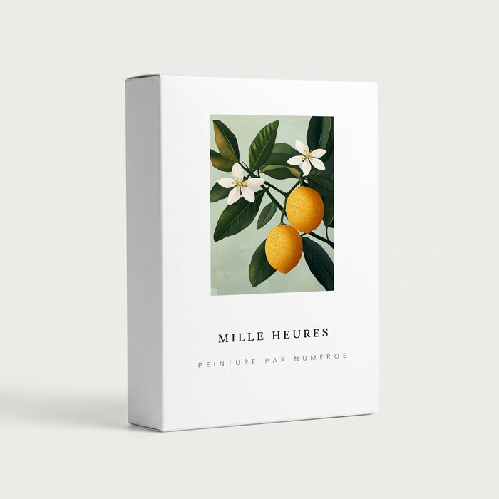 Coffret Mille Heures