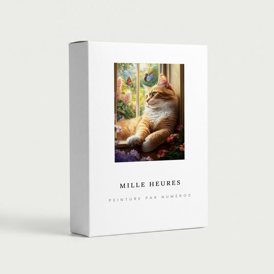 Peinture par Numéros Chat au Soleil