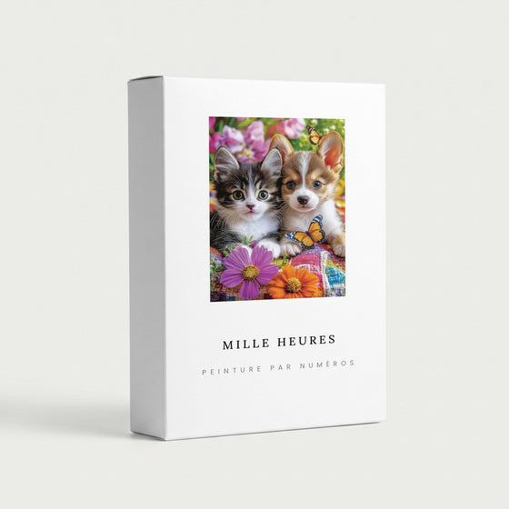 Peinture par Numéros Chaton et Chiot
