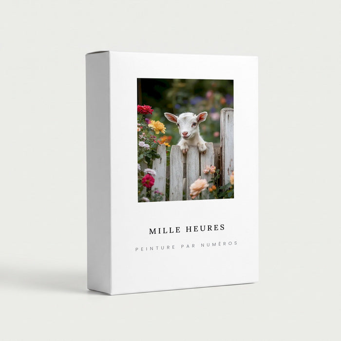 Coffret Mille Heures