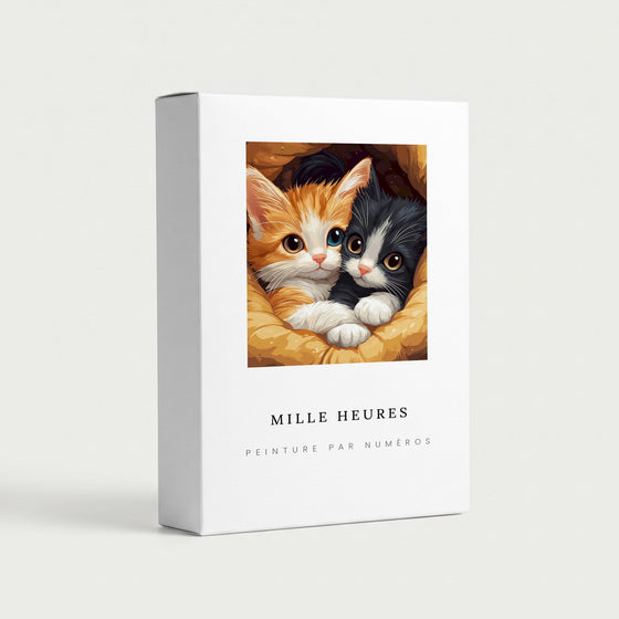 Peinture par Numéros Duo de Chatons