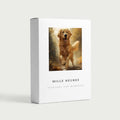 Coffret Mille Heures