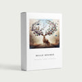 Coffret Mille Heures