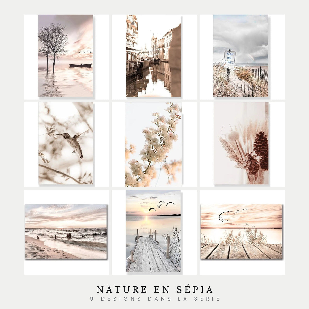 Les designs de la serie